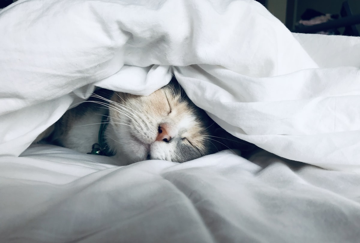 Troubles du sommeil — Somnology Paris 15, centre expert du sommeil